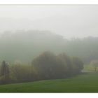 Wie gläsern wirkt die Landschaft... - oder: Nebel- Kulissen