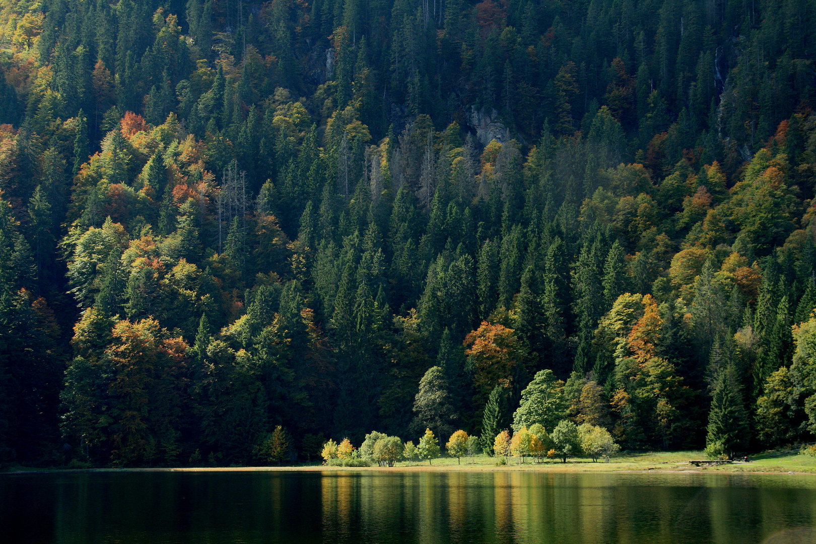 Wie groß ist die Natur!