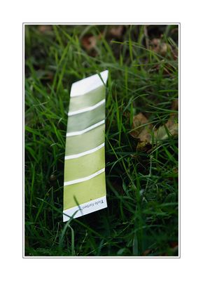 Foto Challenge Bilder & Fotos