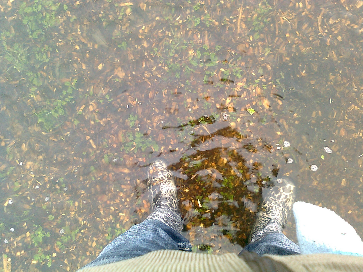 Wie gut, das es Gummistiefel gibt!