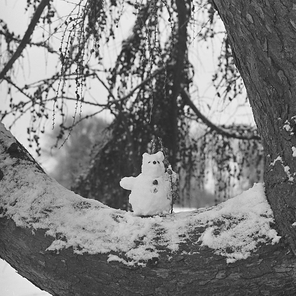 Wie heißen Schneemänner...