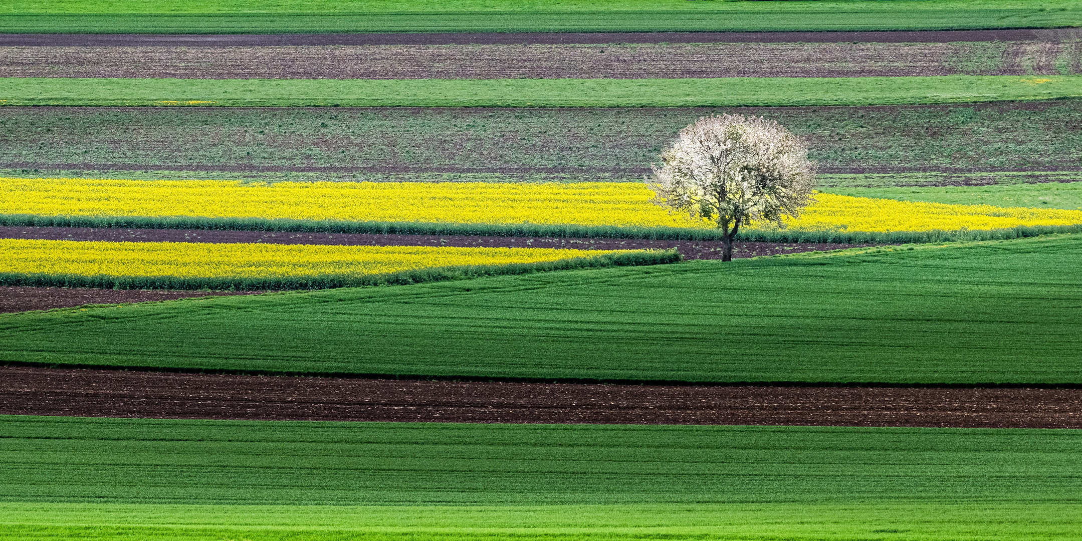 Wie herrlich leuchtet mir die Natur! - 10 Tage später