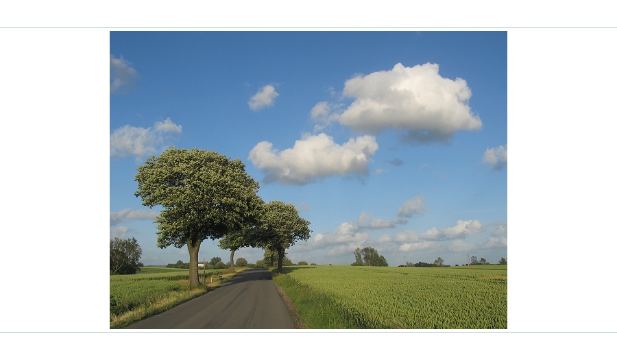 Wie hier das Wetter ist? - Heute hat es Wolken am Himmel...