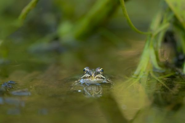 Wie, hochklettern, damit´s schönes Wetter gibt?