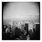 wie Holga New York sieht