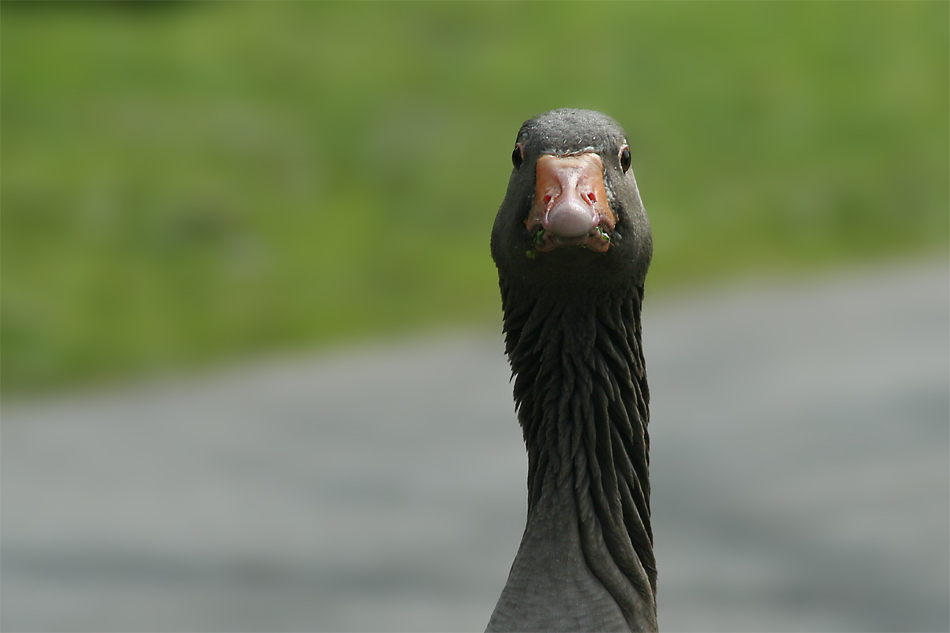 Wie ... ich hab' da was im Gesicht?!