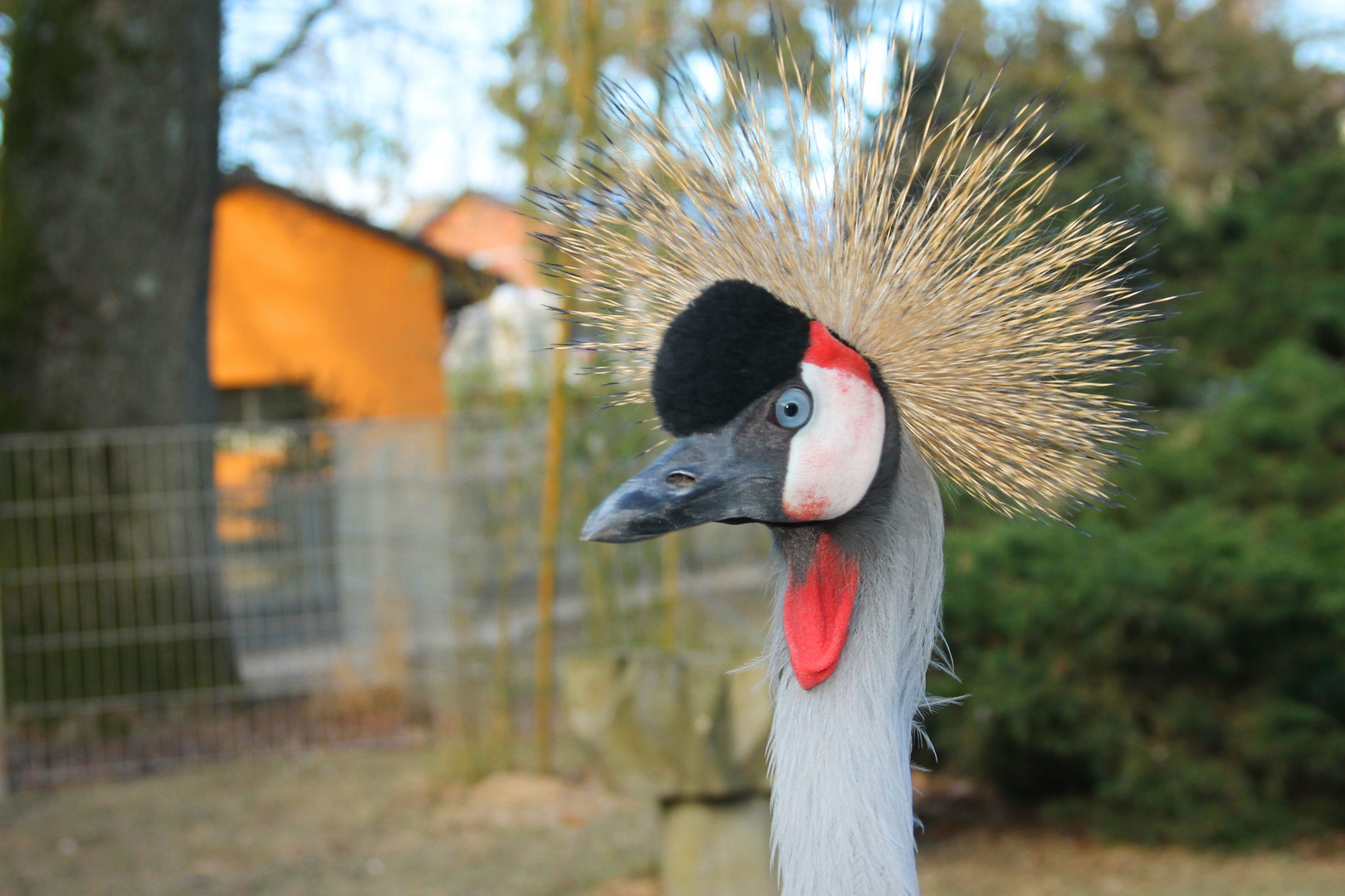 Wie ich hab die Haare schöööön ????