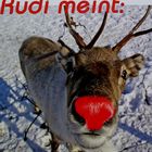 . . .wie ??? . . ich hab` ne rote nase . . .???