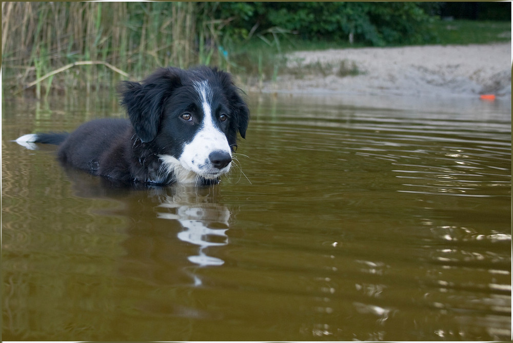 Wie, ich könnte auch schwimmen??? Glaub ich nicht...