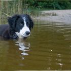 Wie, ich könnte auch schwimmen??? Glaub ich nicht...