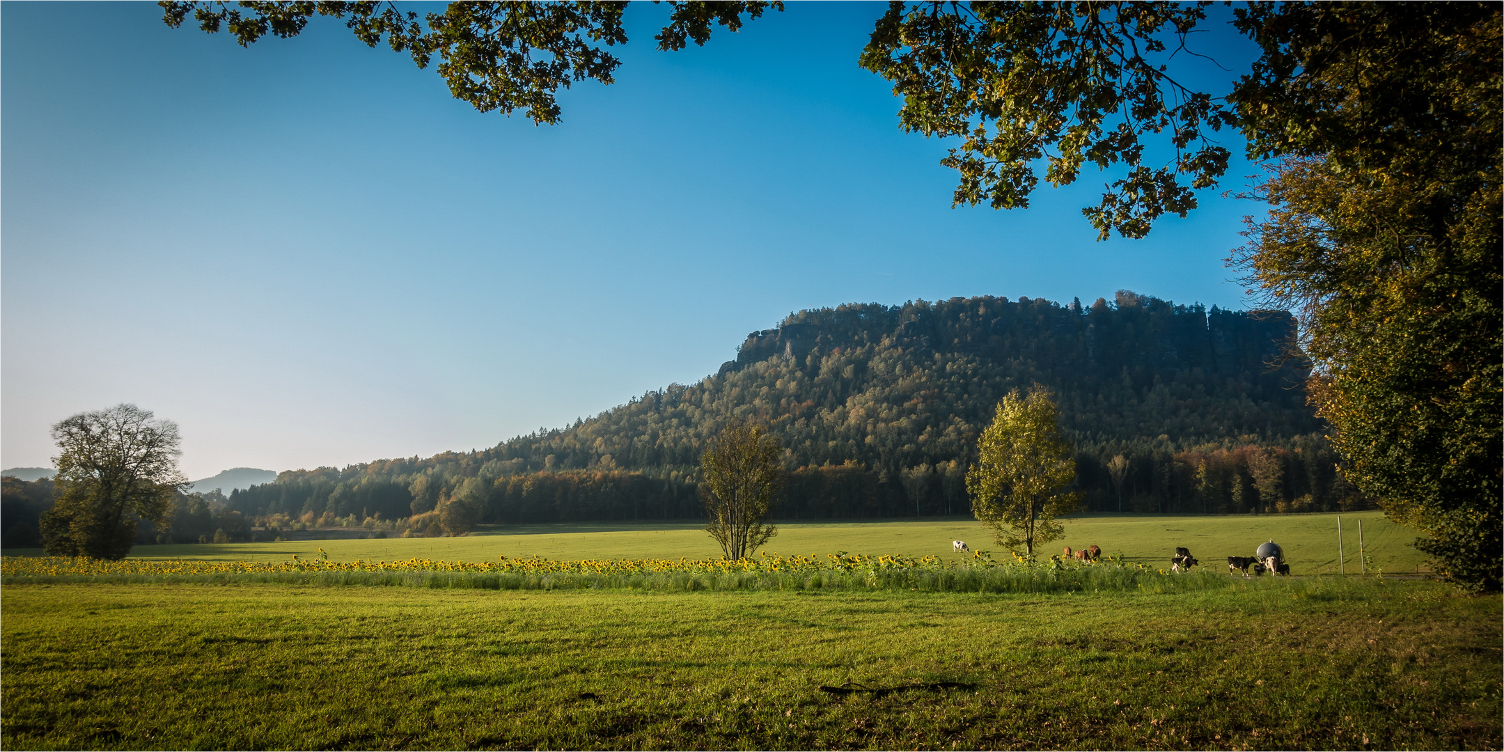 ****Wie im Bilderbuch****