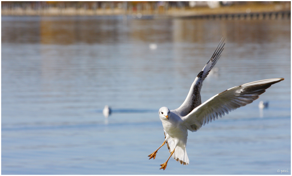 wie im Flug ist die Zeit vergangen....