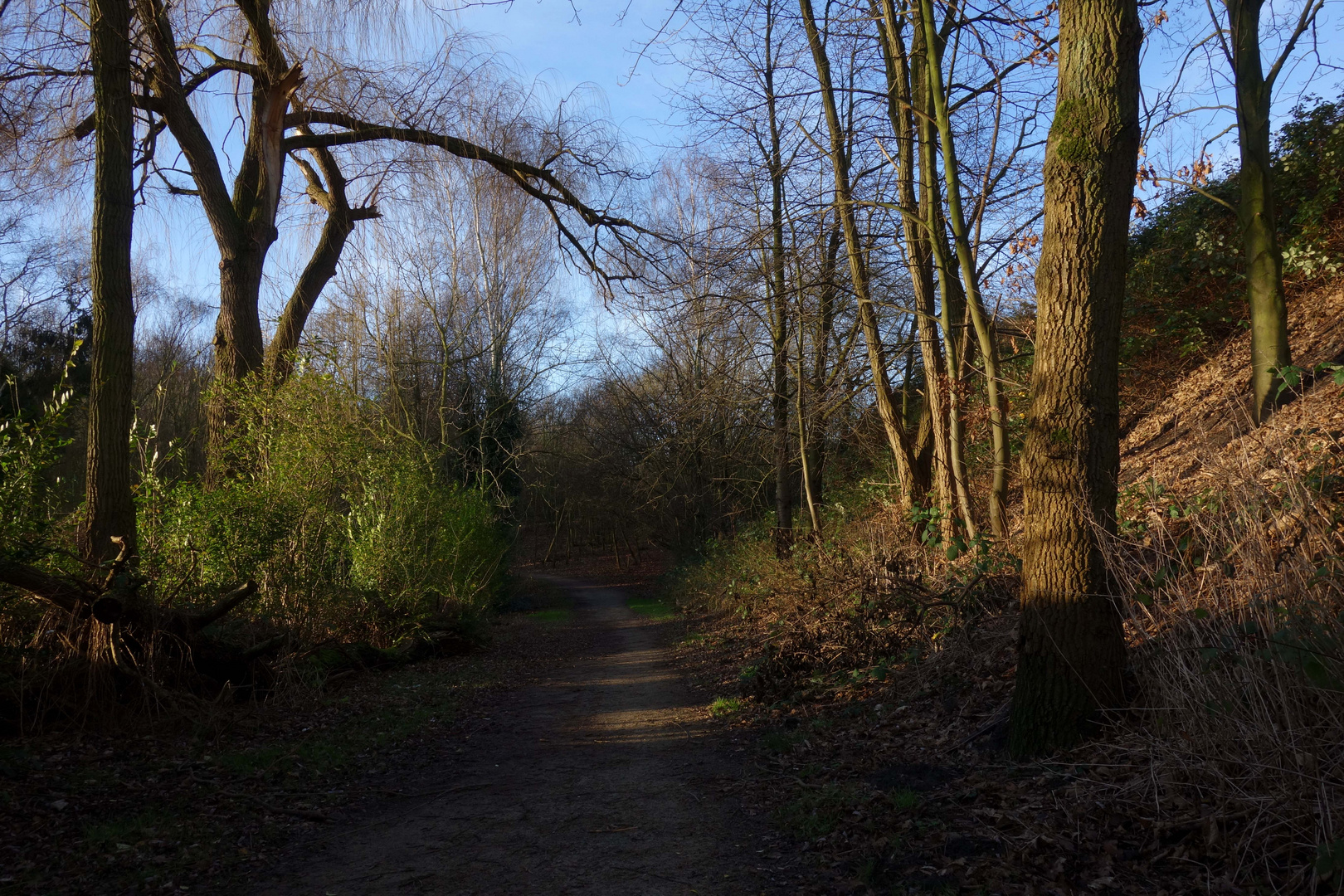 ...wie im Frühling / 2