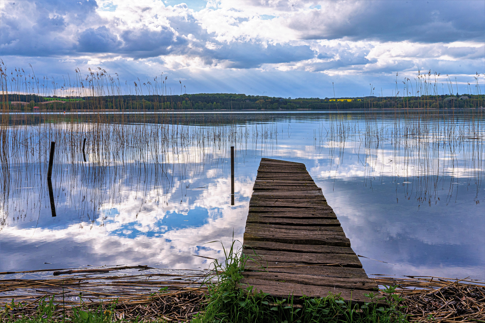 Wie im Himmel so auch im Tollensesee