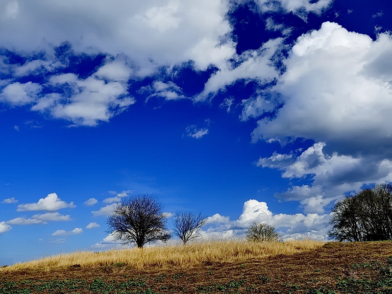 Wie im Himmel so auf Erden Foto Bild natur Wie im Himmel so auf Erden Foto Bild natur