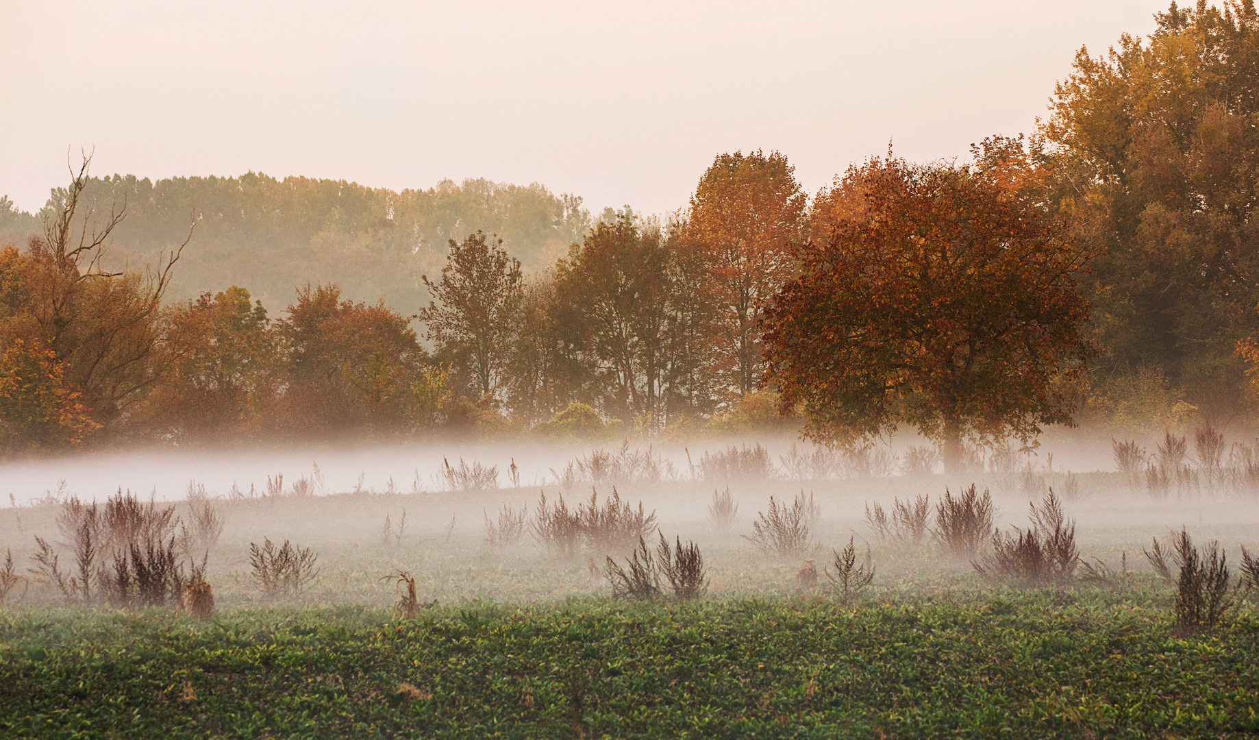 Wie im Horrorfilm "The Fog" ...