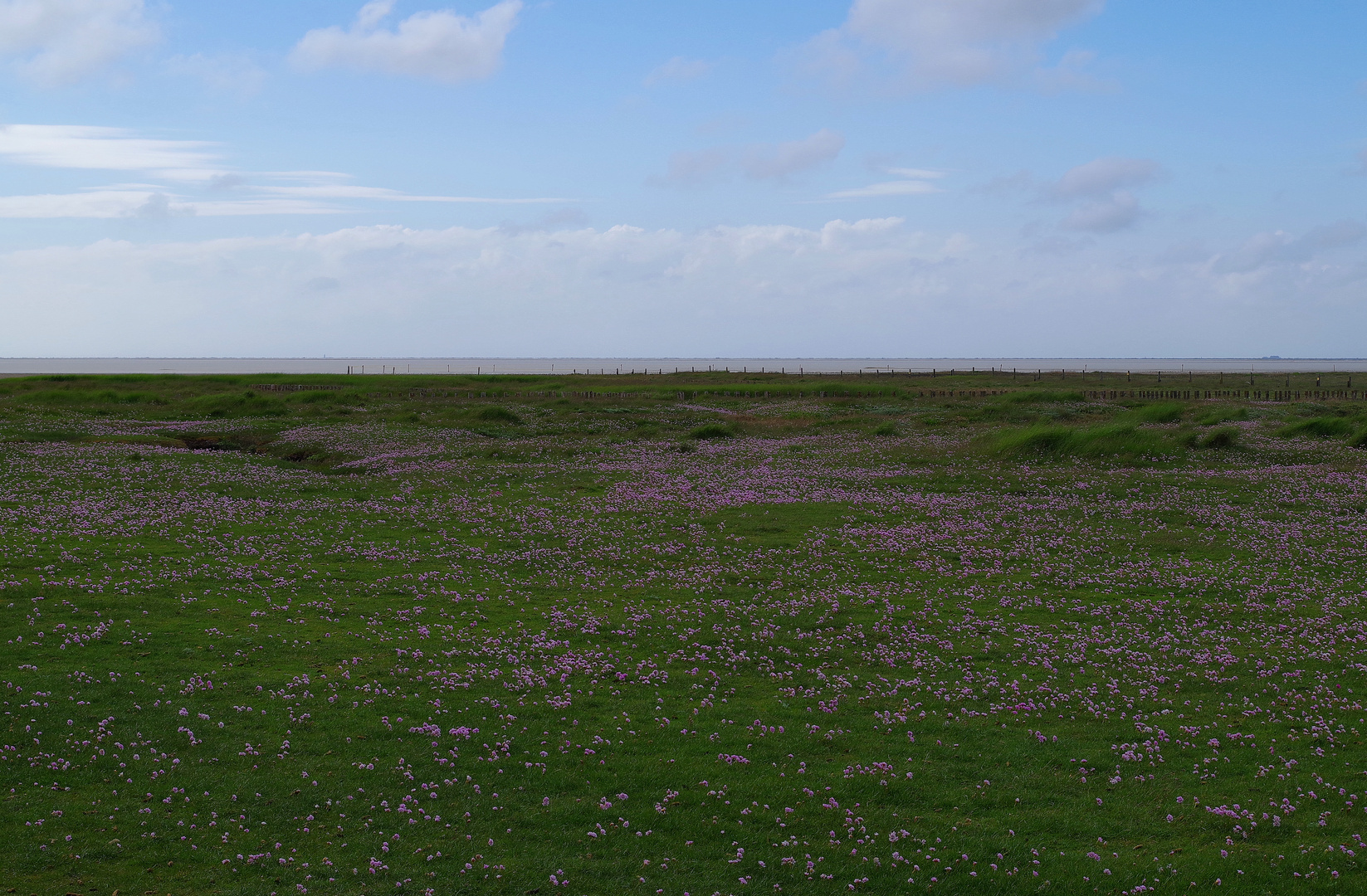 wie im Namaqualand