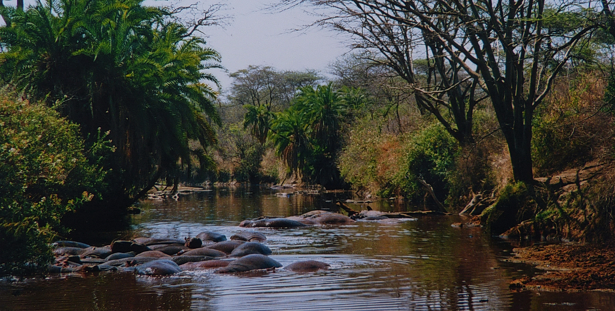 Wie im Paradies   Tanzania