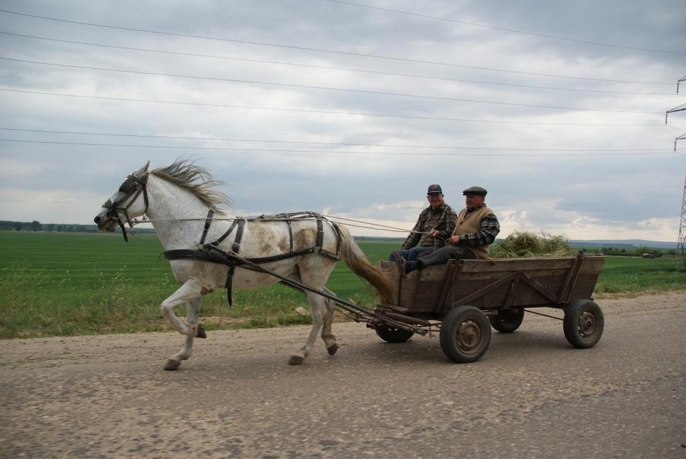 Wie in alten Zeiten; Rumänien `08