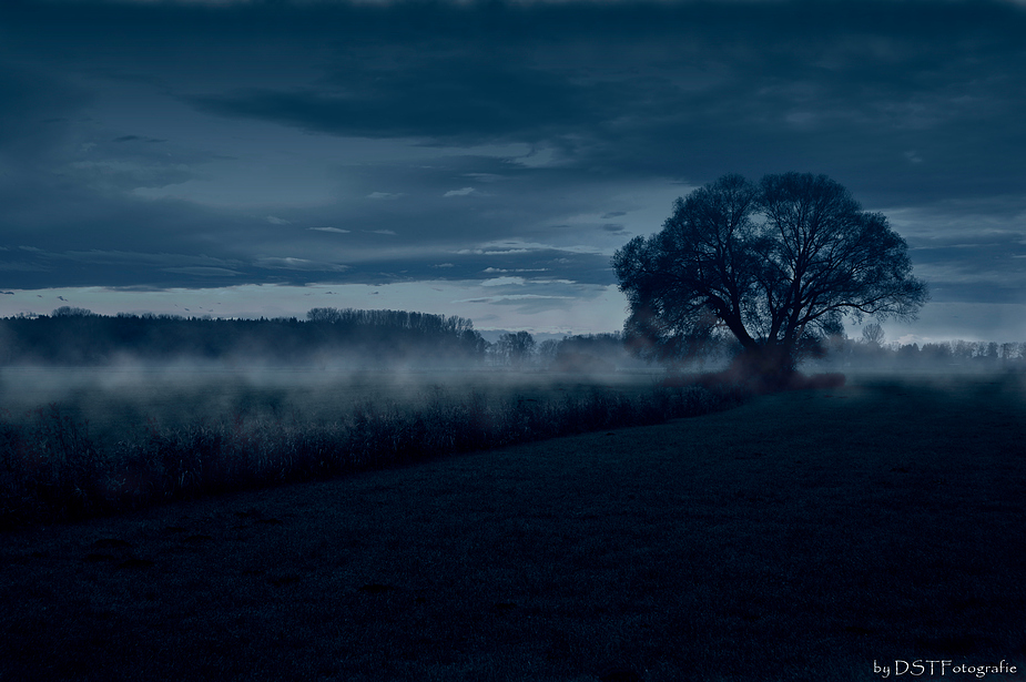 Wie in der blauen Stunde...