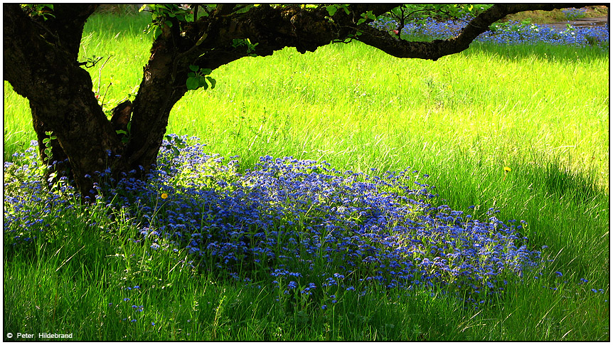 wie in der Provence?