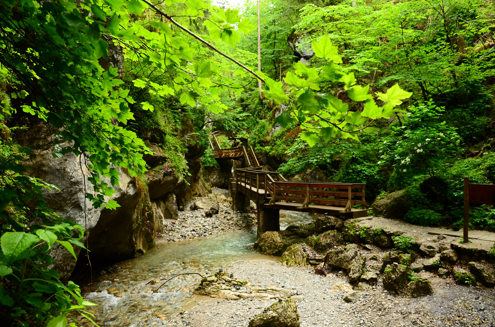 Wie in einem Dschungel - Die Seisenbergklamm in Weißbach bei Lofer