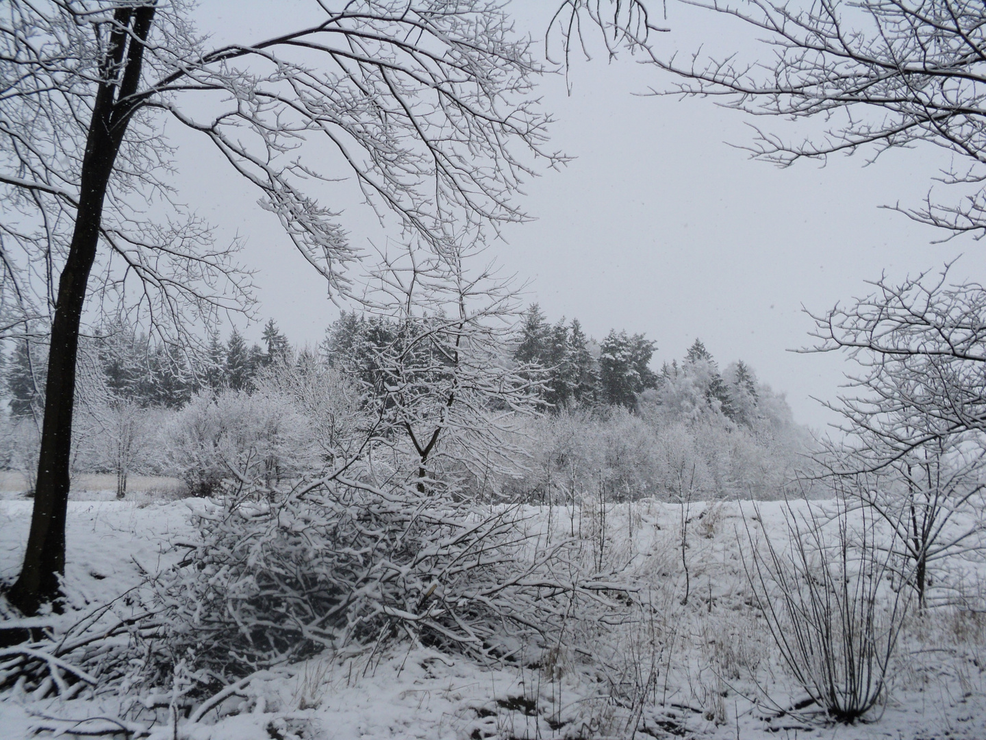 "Wie in Glas geschliffen" Landschaft am 23.2.16