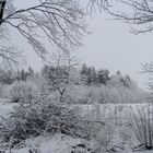 "Wie in Glas geschliffen" Landschaft am 23.2.16