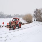 Wie in seiner Heimat...