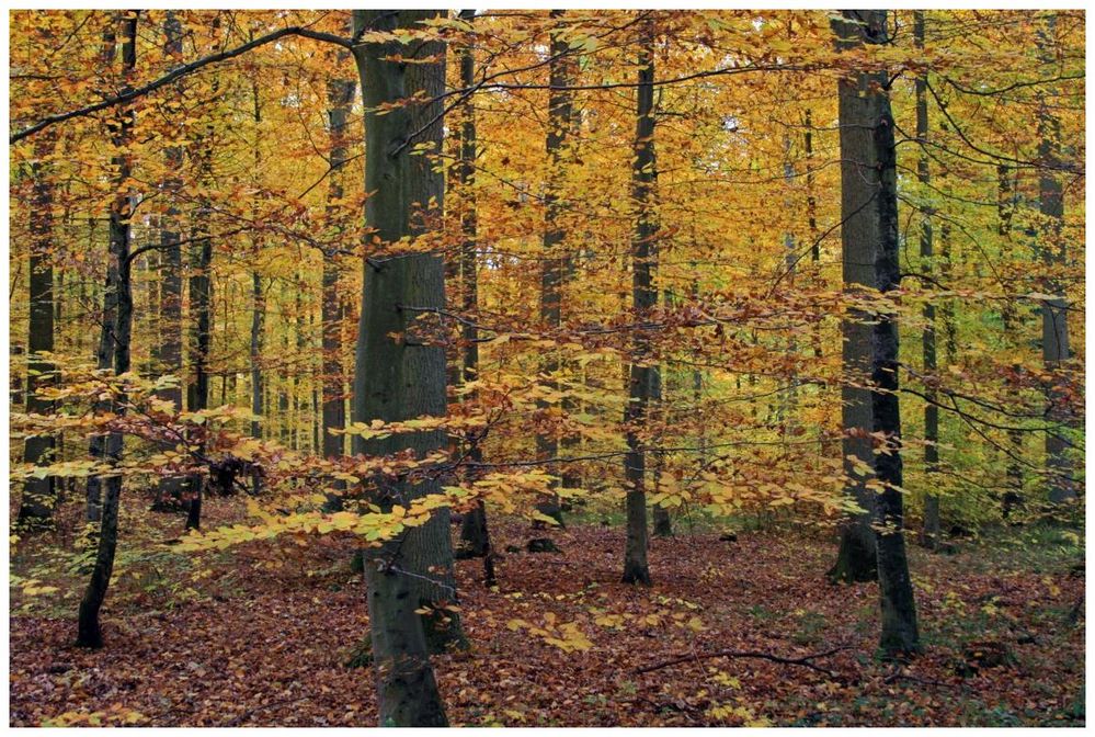 wie in Stein gemeisselt II