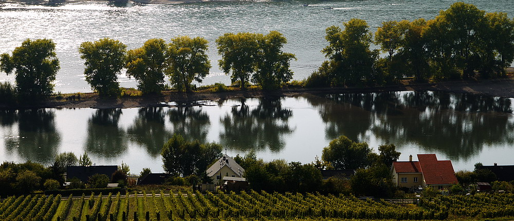 wie isses am Rhein so schön..