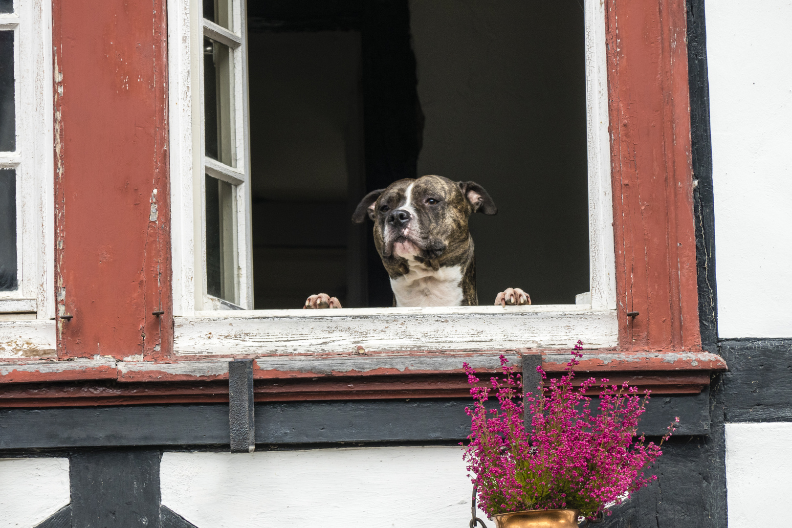 Wie ist denn das Wetter?