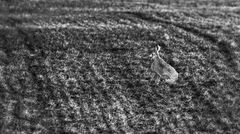 WIE IST DENN EURE MEINUNG IN DIESER SACHE?