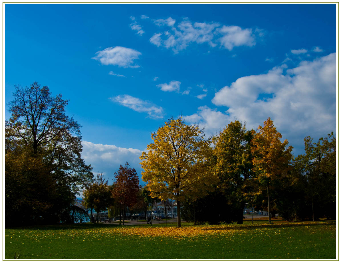 ..wie jedes Jahr im Herbst...