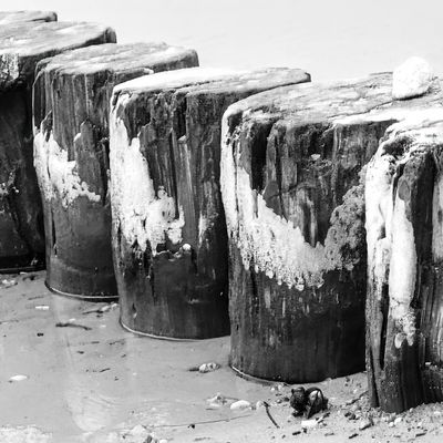 Wie jedes Jahr- Insel Poel im Februar