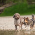 Wie jetzt, die geht in´s Wasser...