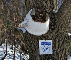 Wie kam der Nachtpott in den Wald?