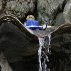 Wie kam er auf dem Neptunbrunnen?