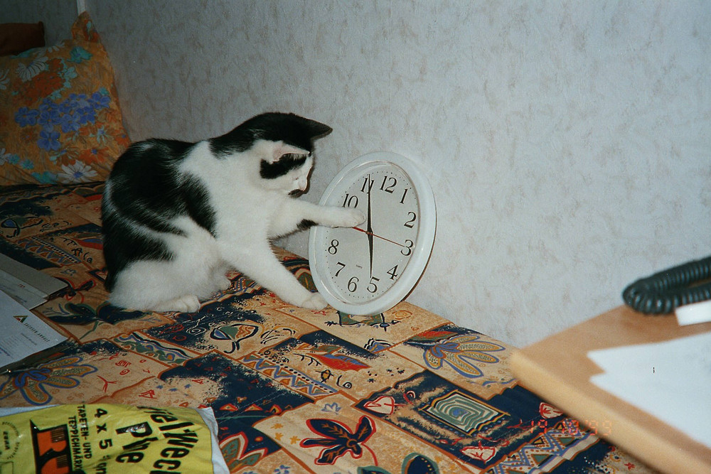 Wie kann ich bloß die Uhr stellen ?