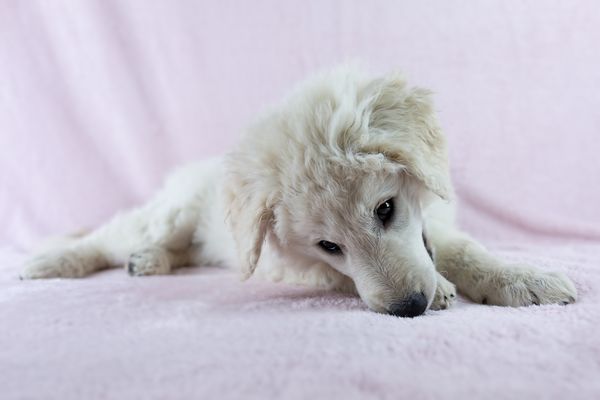 wie kann man denn so gucken