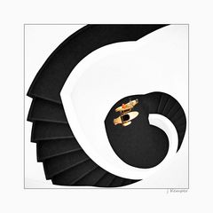 - wie kann man hier bitte die Treppe hochfahren? -