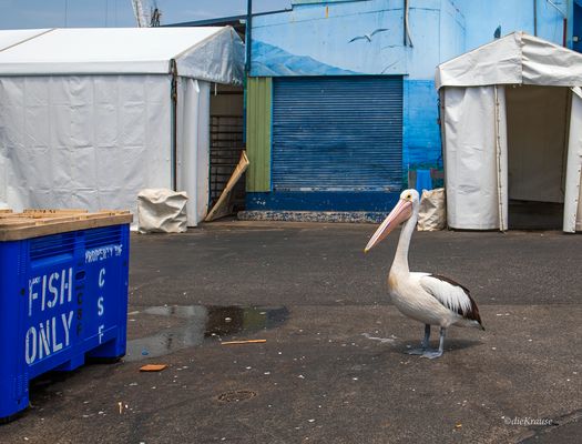 Wie komme ich daran?