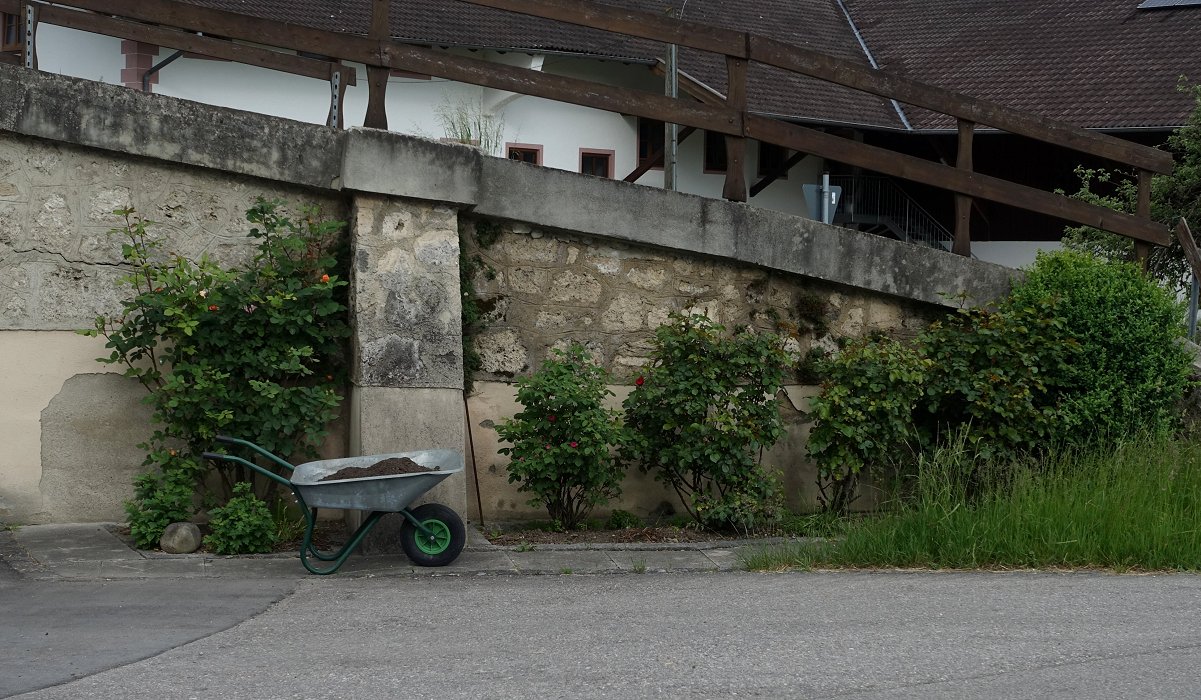 Wie kommen Blumen schnell zum Kompost?