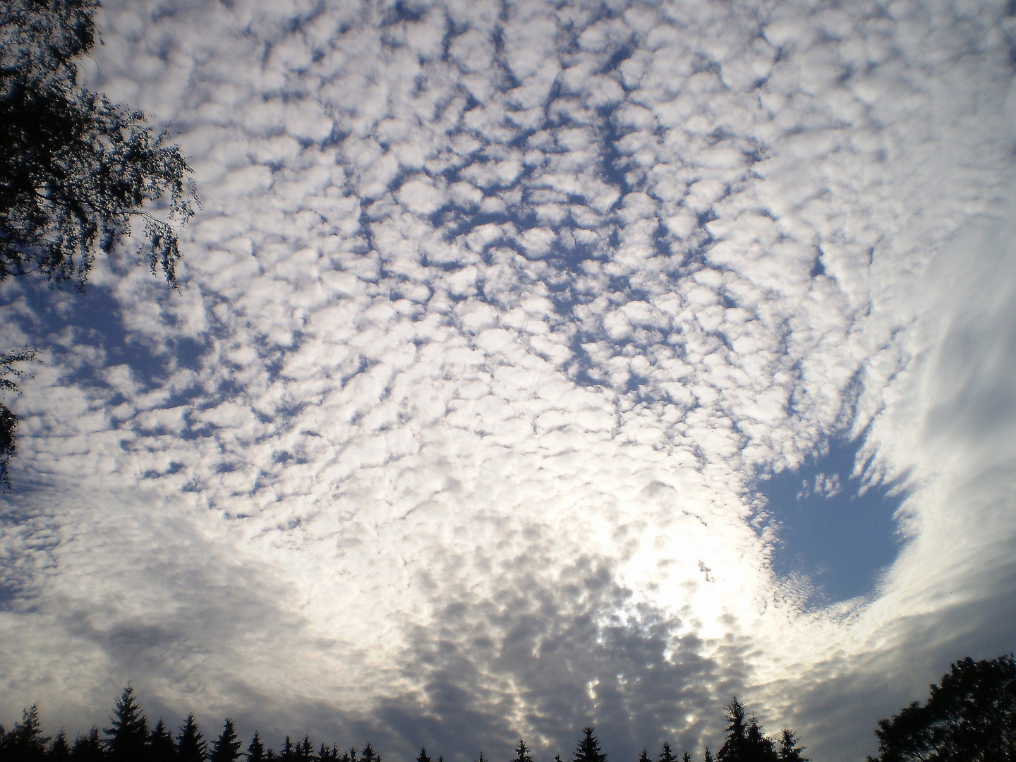 Wie kommen denn die velen Schafe an den Himmel?