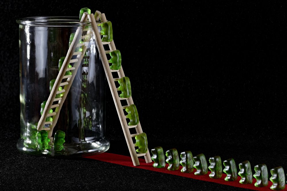 Wie kommen die Bären ins Glas? Foto & Bild stillleben, food