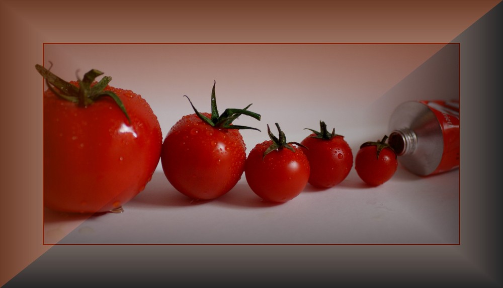 Wie kommen Tomaten in die Tube ????