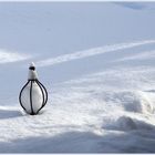 Wie kommt der Schneeball da rein?