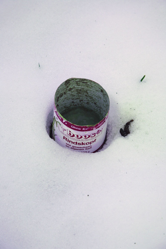 Wie kommt die Dose in den Schnee