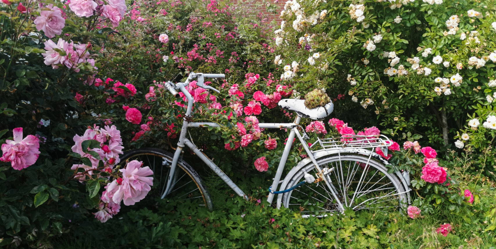 wie kommt mein Fahrrad in den Vorgarten?