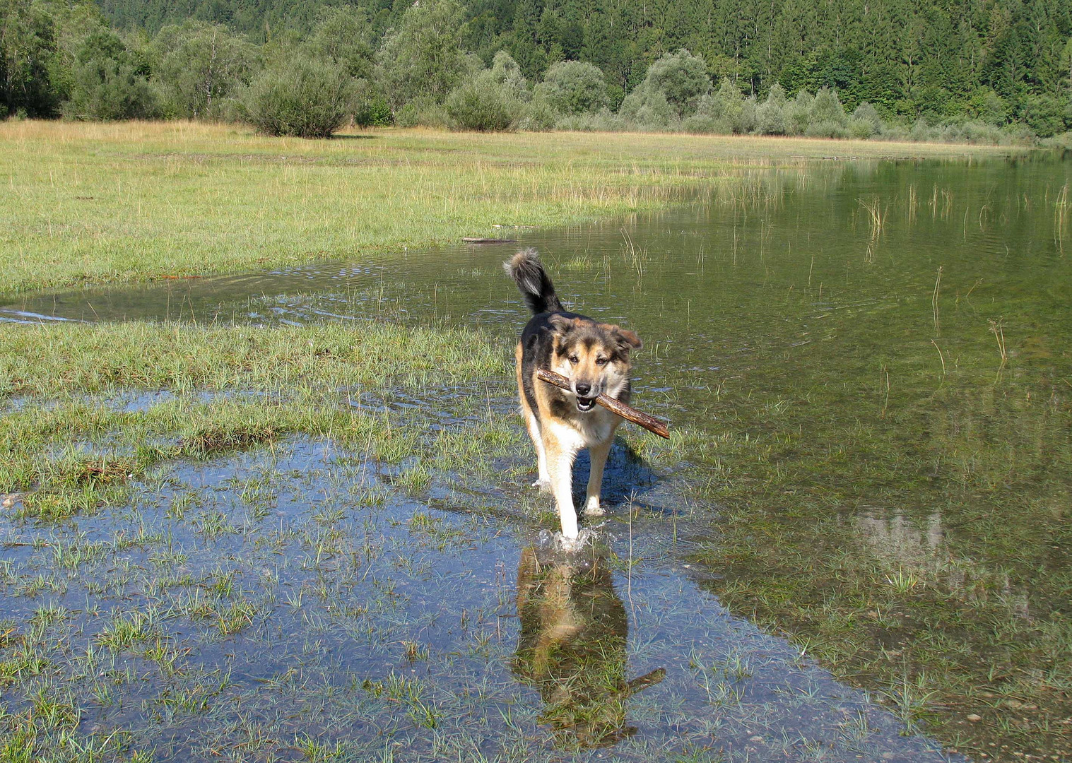 Wie lange können wir noch baden ?